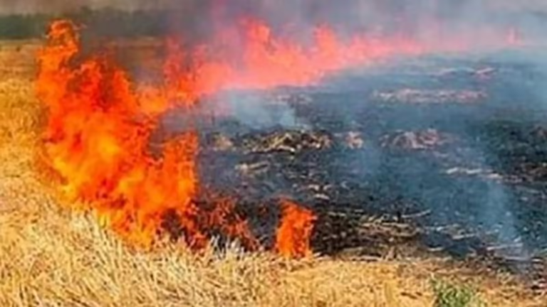 फसल अवशेष (नरवाई) जलाने पर प्रतिबंधनरवाई जलाते पाये जाने पर होगा 15 हजार रुपये तक का जुर्मानानरवाई प्रबंधन के बारे में जनजागरण के लिए गाँव-गाँव पहुँचेगा रथ