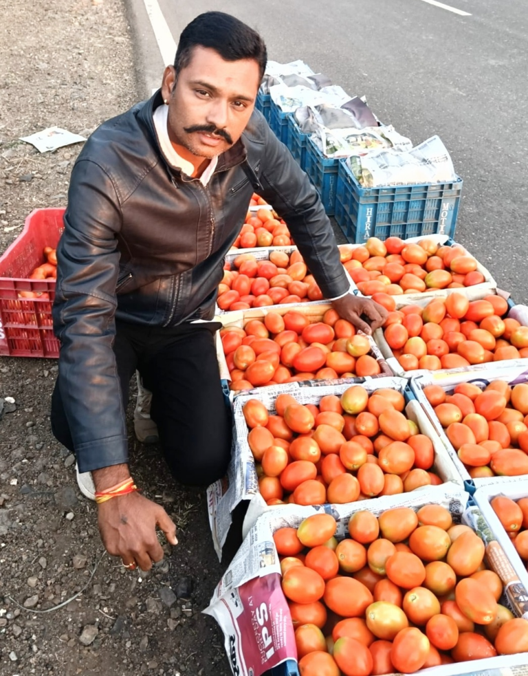 जावर का खीरा व टमाटर दुबई तक हो रहा है एक्सपोर्ट