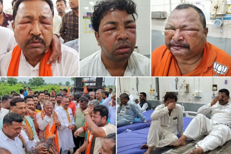 भाजपा नेताओं पर मधुमक्खियों का हमला.. 40 से ज्यादा नेता और कार्यकर्ताओं के चेहरे सूजे..