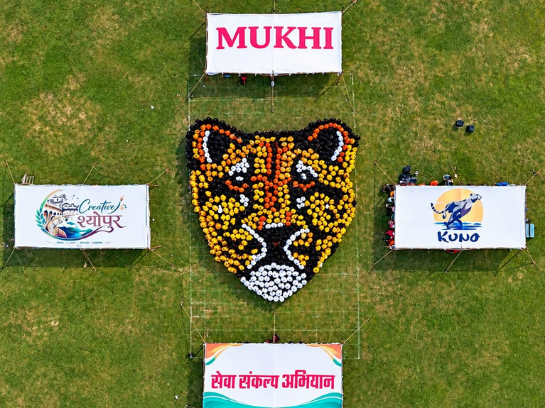 ह्यूमन रंगोली अन्तर्गत महिलाओं एवं छात्राओं ने बनाई मादा चीता मुखी की विशाल प्रतिकृति
